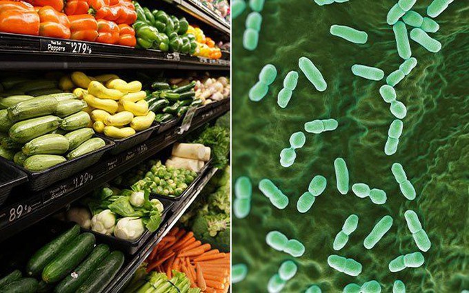 Thời tiết nắng nóng, chú ý 5 loại thực phẩm dễ nhiễm vi khuẩn Listeria có thể gây ngộ độc 