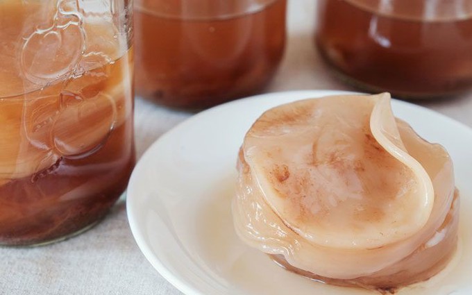 Uống kombucha bao nhiêu là quá nhiều? Dừng ngay khi thấy 5 dấu hiệu "bất ổn" này