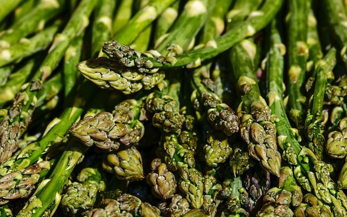 Nghiên cứu mới: Hợp chất asparagine trong nhiều loại thực phẩm có thể khiến bệnh ung thư vú trở nên trầm trọng hơn!