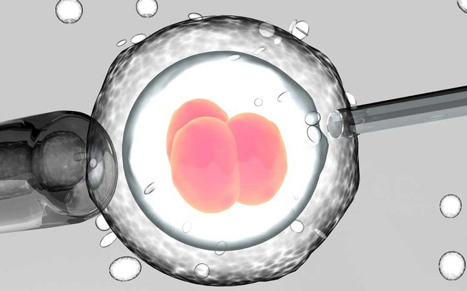 Xin trứng thụ tinh ống nghiệm phương pháp "cứu cánh" cho chị em lớn tuổi muốn có con