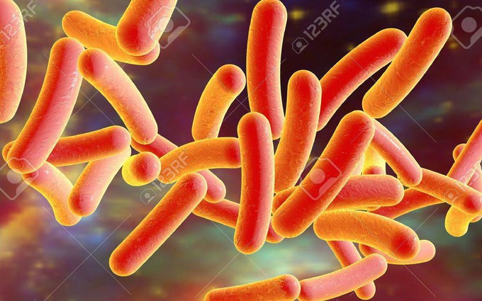Từ A - Z về viêm phổi do vi khuẩn Legionnaires gây ra