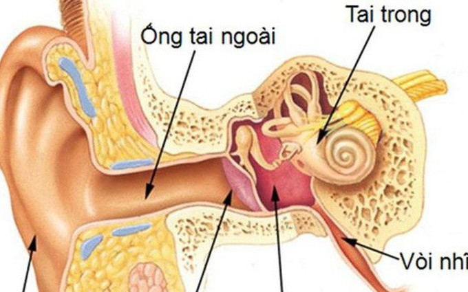 Viêm tai ngoài: Triệu chứng, nguyên nhân, chẩn đoán và cách điều trị