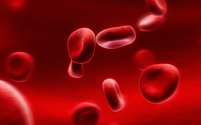 Triệu chứng bệnh máu khó đông: Coi chừng khi bị chảy máu bất thường