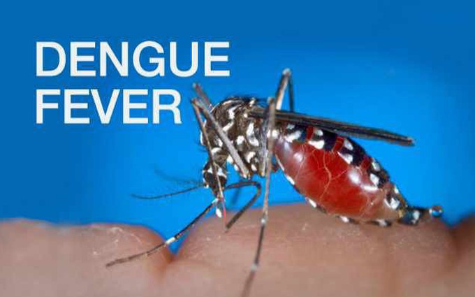 10 câu hỏi thường gặp về bệnh sốt xuất huyết