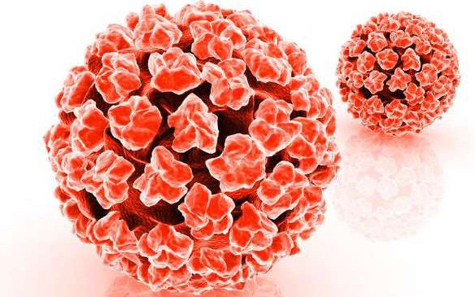 Chớ coi thường virus HPV - nguyên nhân bệnh mụn cóc sinh dục ở nam giới 