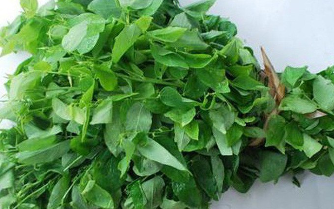 Bố mẹ sẽ bất ngờ với những bài thuốc dân gian trị tưa lưỡi đơn giản mà hiệu quả này
