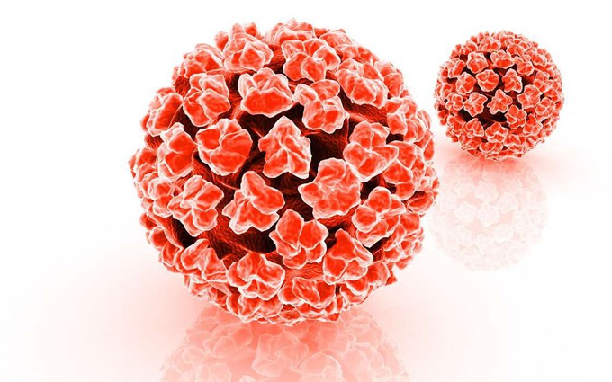 Những lầm tưởng tai hại về virus HPV gây ung thư cổ tử cung