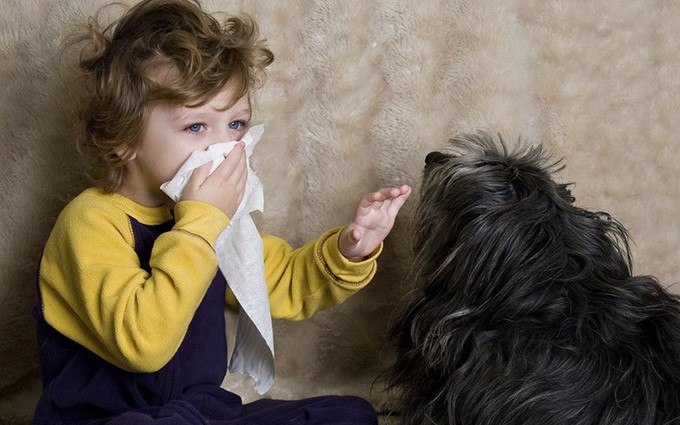 5 nguyên nhân gây viêm mũi dị ứng ở trẻ em