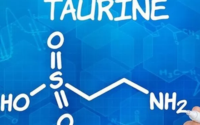 Tác dụng của Taurin đối với sức khỏe con người