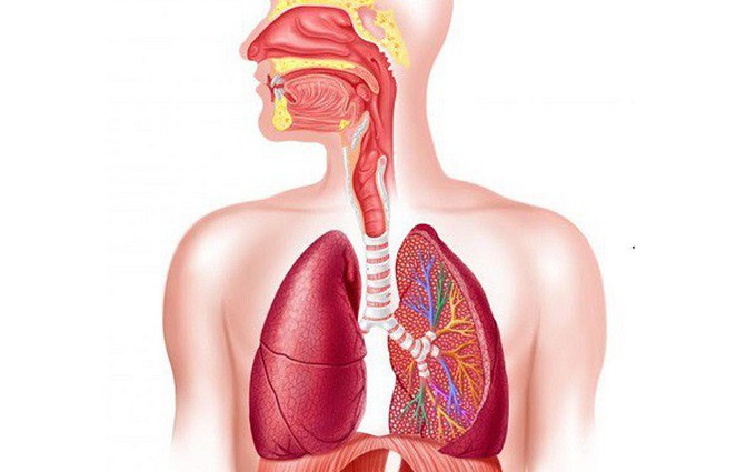 Lưu ý khi điều trị viêm phổi tại nhà cho người lớn và trẻ em