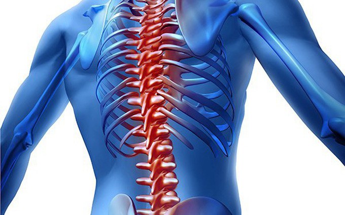 Phân loại đau lưng: Đau lưng trên, đau lưng giữa và đau lưng dưới
