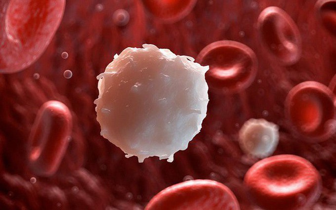 Ung thư máu và nhiễm trùng huyết khác nhau như thế nào?