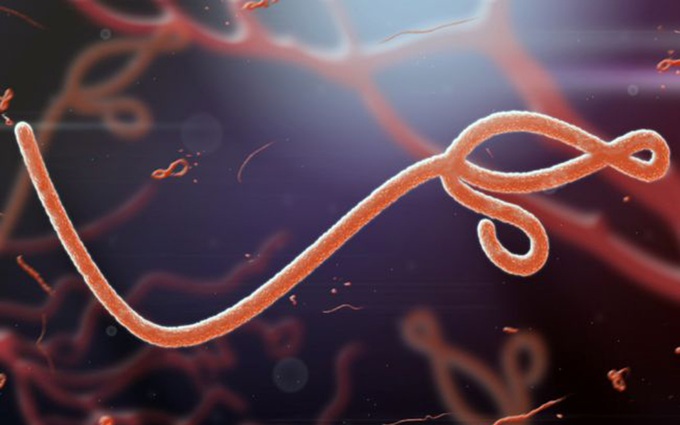 Tìm hiểu chung về dịch bệnh Ebola