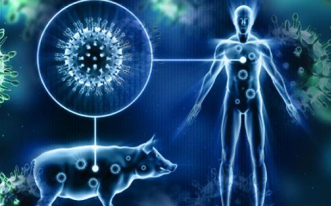 Cúm lợn (H1N1): Triệu chứng, nguyên nhân, chẩn đoán và điều trị 