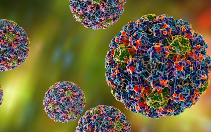 Những câu hỏi thường gặp về virus HPV